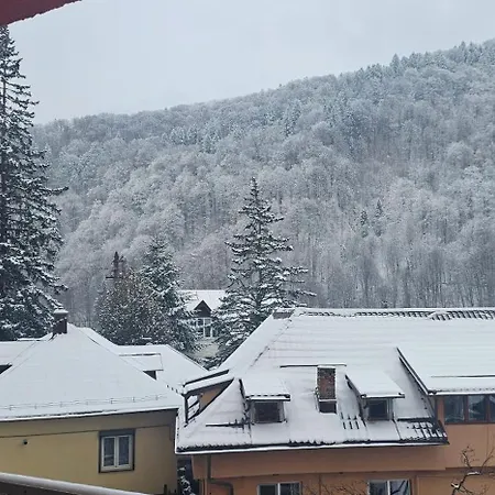 Apartament Mountain View Belleview